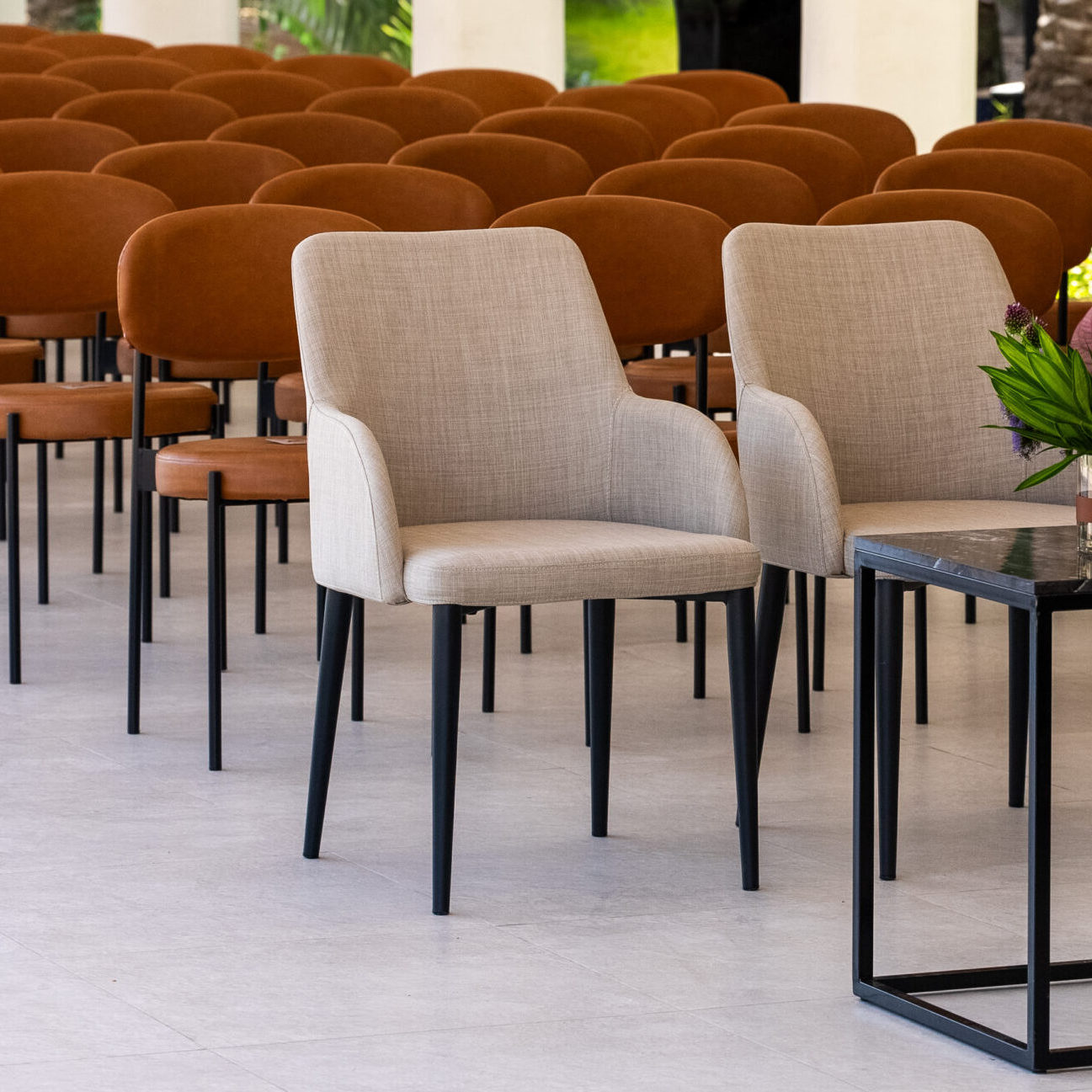 The royal stables – Oslo and elwood, Duke