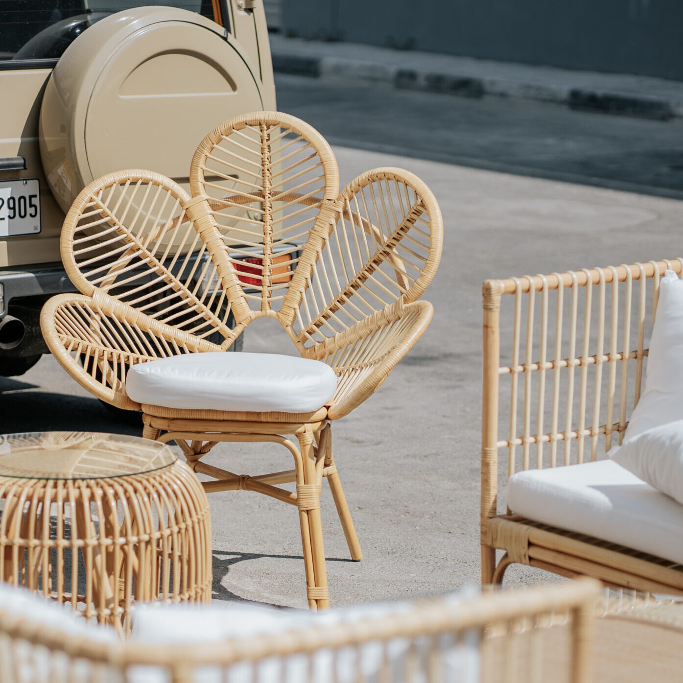 Villa butterfly natural chair