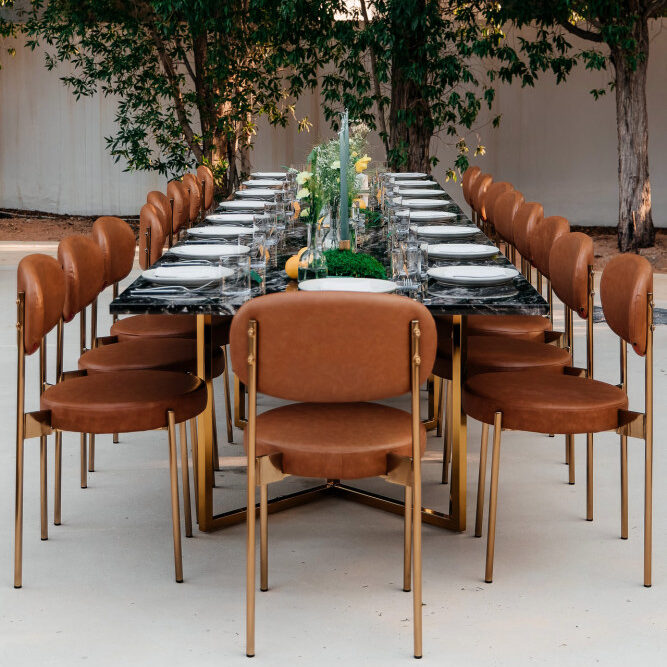 Duke-Collection-25-e1751441828100